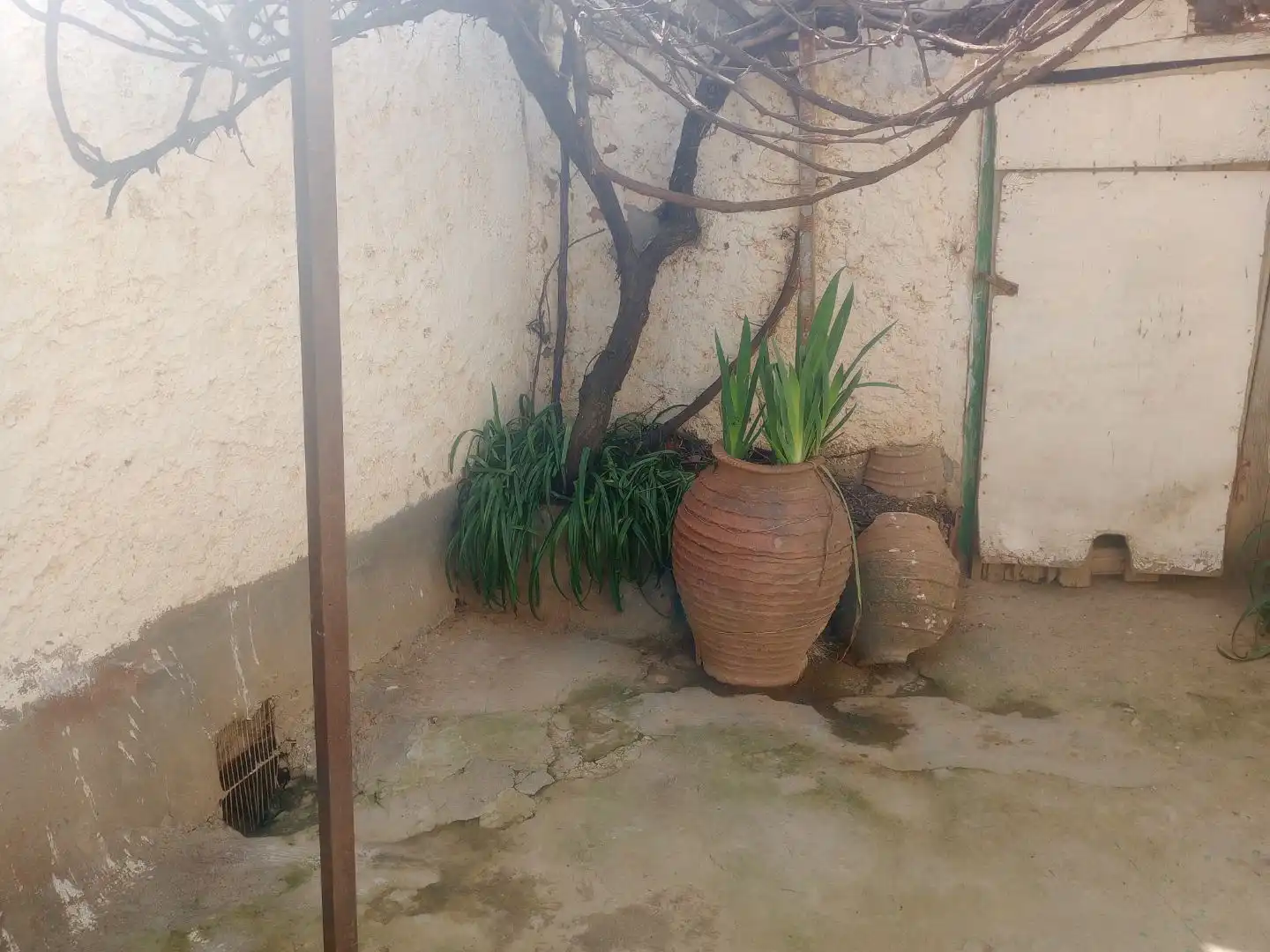 Casa con giardino in vendita a C/ RUTA 2, imagen 27