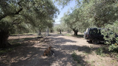 Photo 5 of Country homes for sale in N/a, -1, Ugíjar, Granada