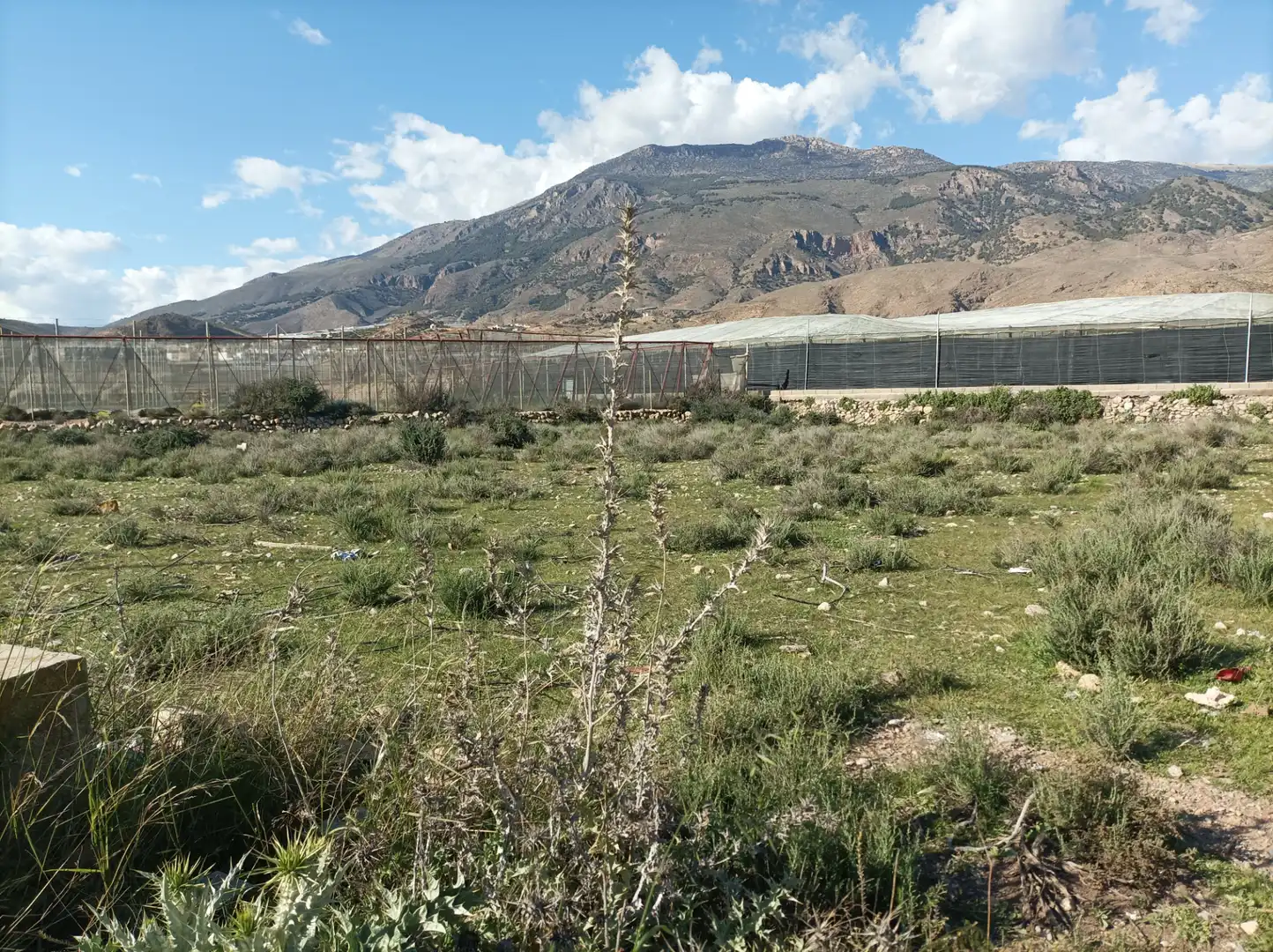 Terreno residenziale in vendita a Dalías