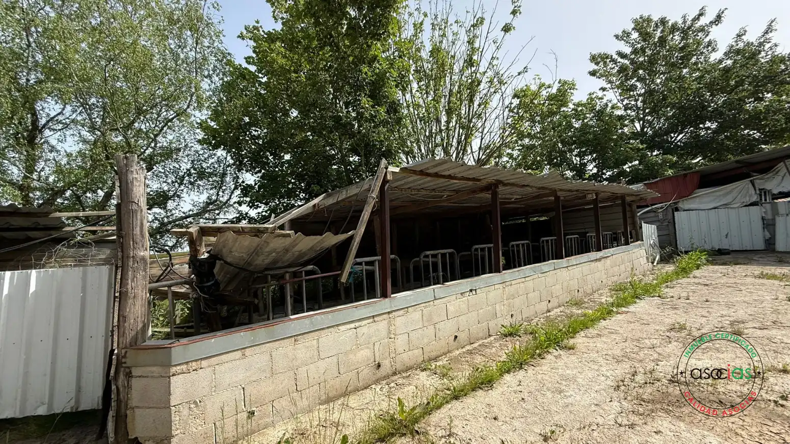 Exterior view of Industrial buildings for sale in Siero