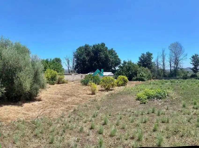 Residencial en venda en Algímia de Alfara