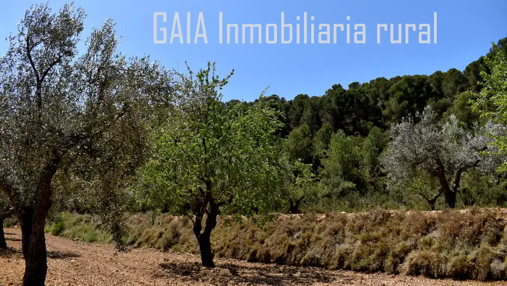 Finca rústica en venta en Mazaleón