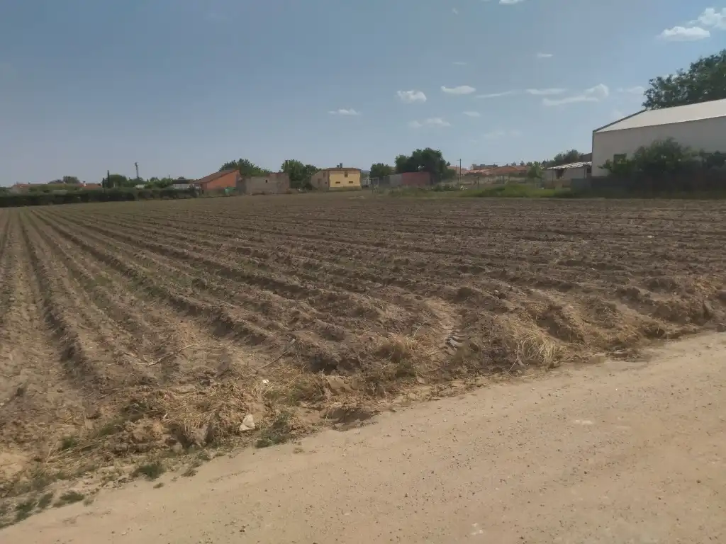 Terrain rustique à vendre à Don Benito, imagen 3