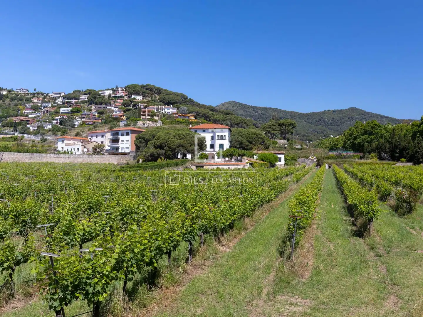 Finca rústica en venda en Alella amb Jardí privat, Terrassa i Traster