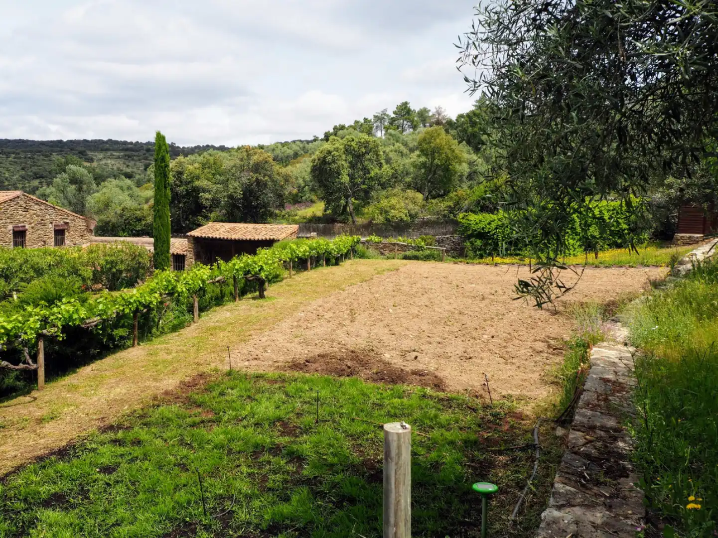 Houses for sale in Madroñera - LAS ANIMAS, Madroñera