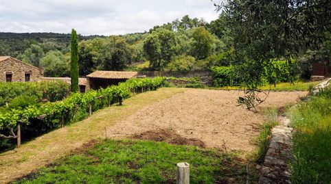 Foto 3 de Casa o chalet en venta en Madroñera - las Animas, Madroñera, Cáceres