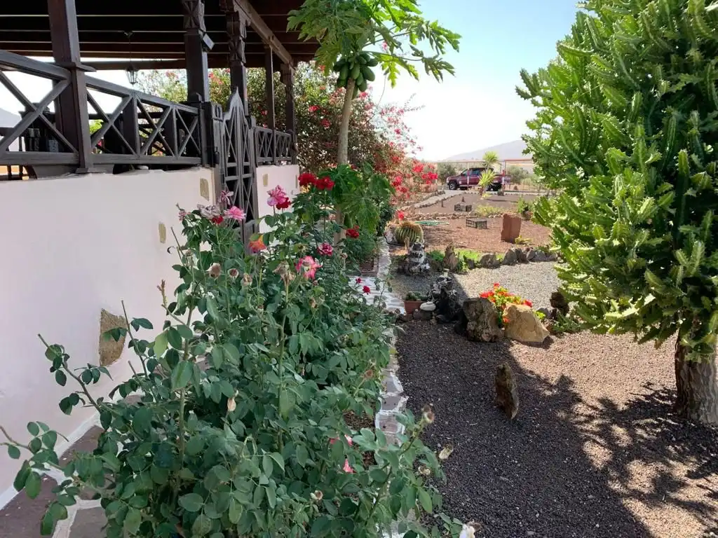 Jardín de Casa o chalet en venta en Puerto del Rosario con Jardín privado, Terraza y Trastero