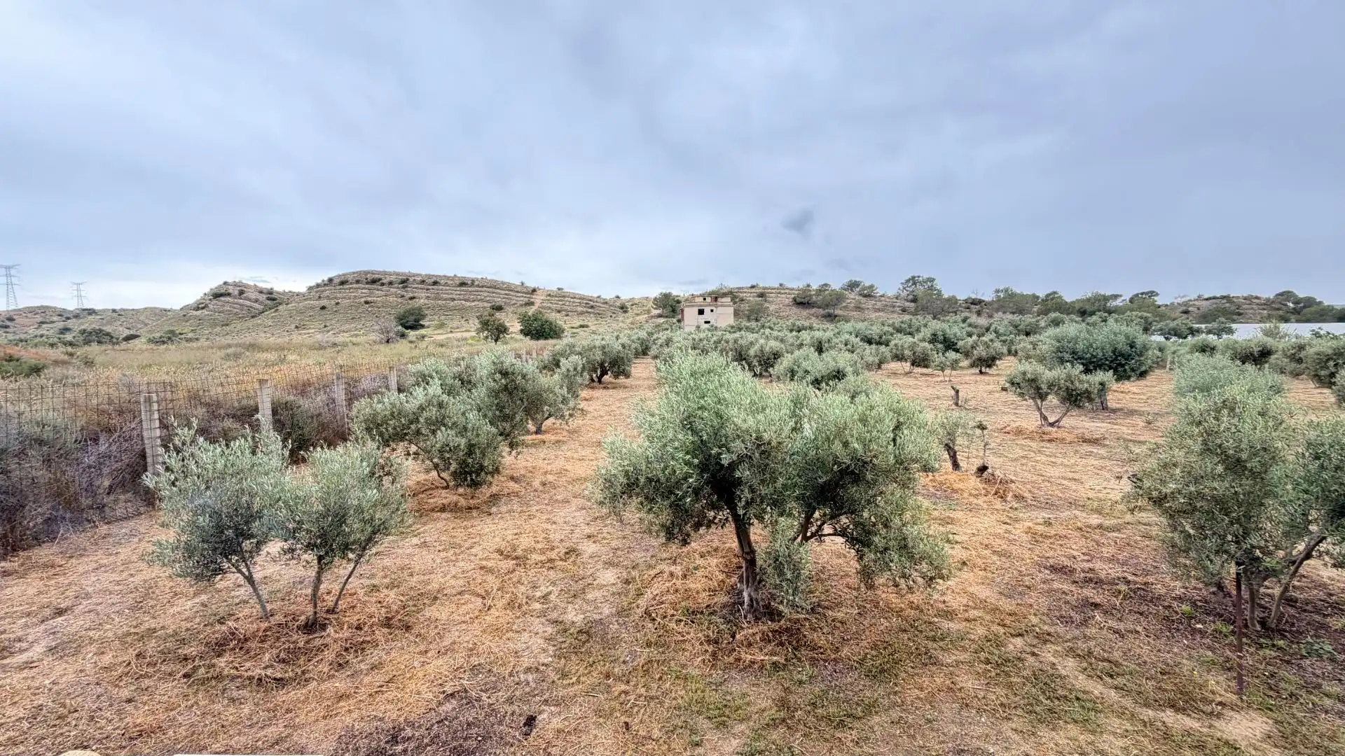 Houses for sale in Elche / Elx  with Heating, Private garden and Storage room