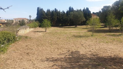 Foto 2 de Residencial en venta en Els Masos de Pals, Pals