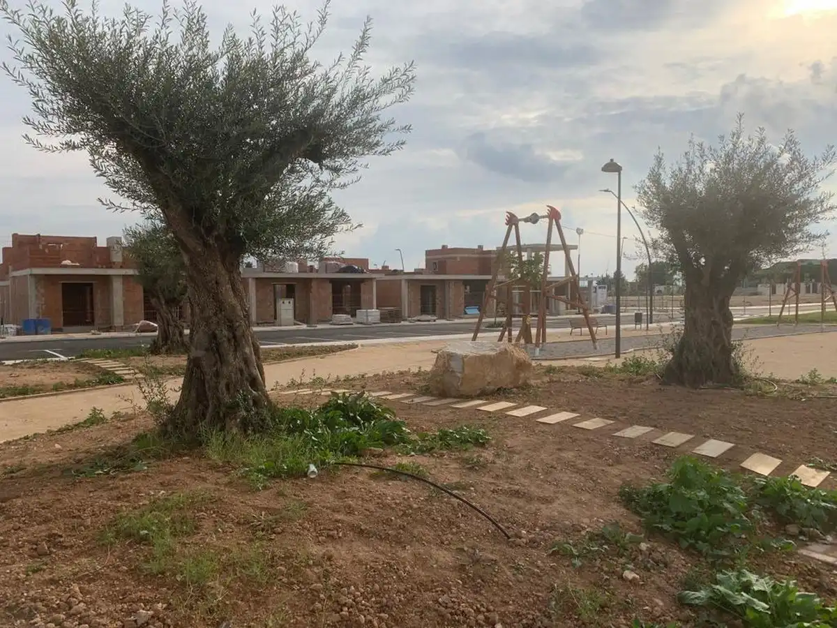 Casa o xalet en venda en Torre-Pacheco amb Piscina