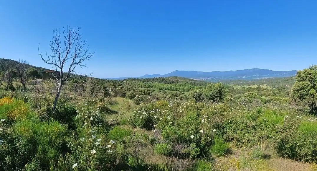 Rural land for sale in Polígono Polígono I, imagen 12