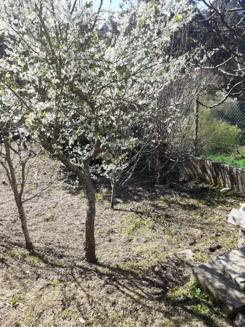 Country homes for sale in Redondela  with Private garden