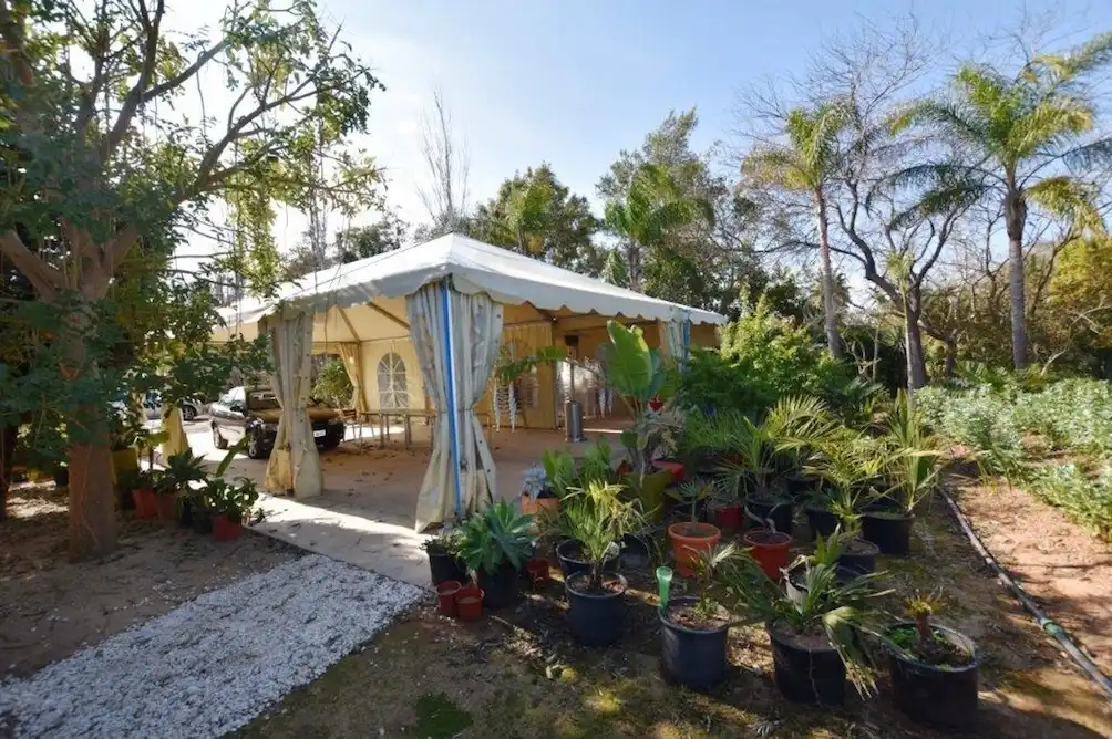 Maison rustique à vendre à El Dossel - Mareny de San Lorenzo, imagen 8