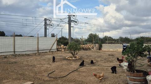Foto 5 de Finca rústica en venda a Cristo Rey - Parque Europa, Inca