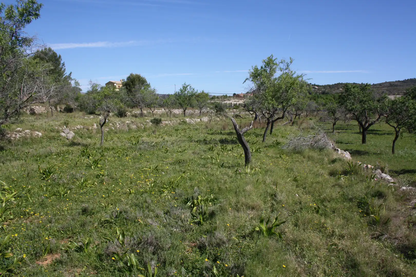 Casa en venta en Benissa pueblo, imagen 29