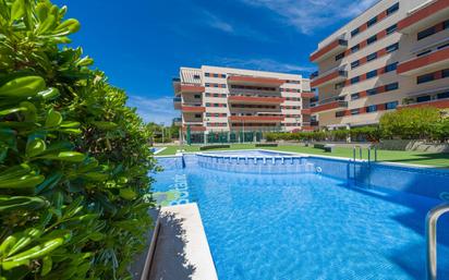 Schwimmbecken von Wohnung zum verkauf in Castellón de la Plana / Castelló de la Plana mit Terrasse