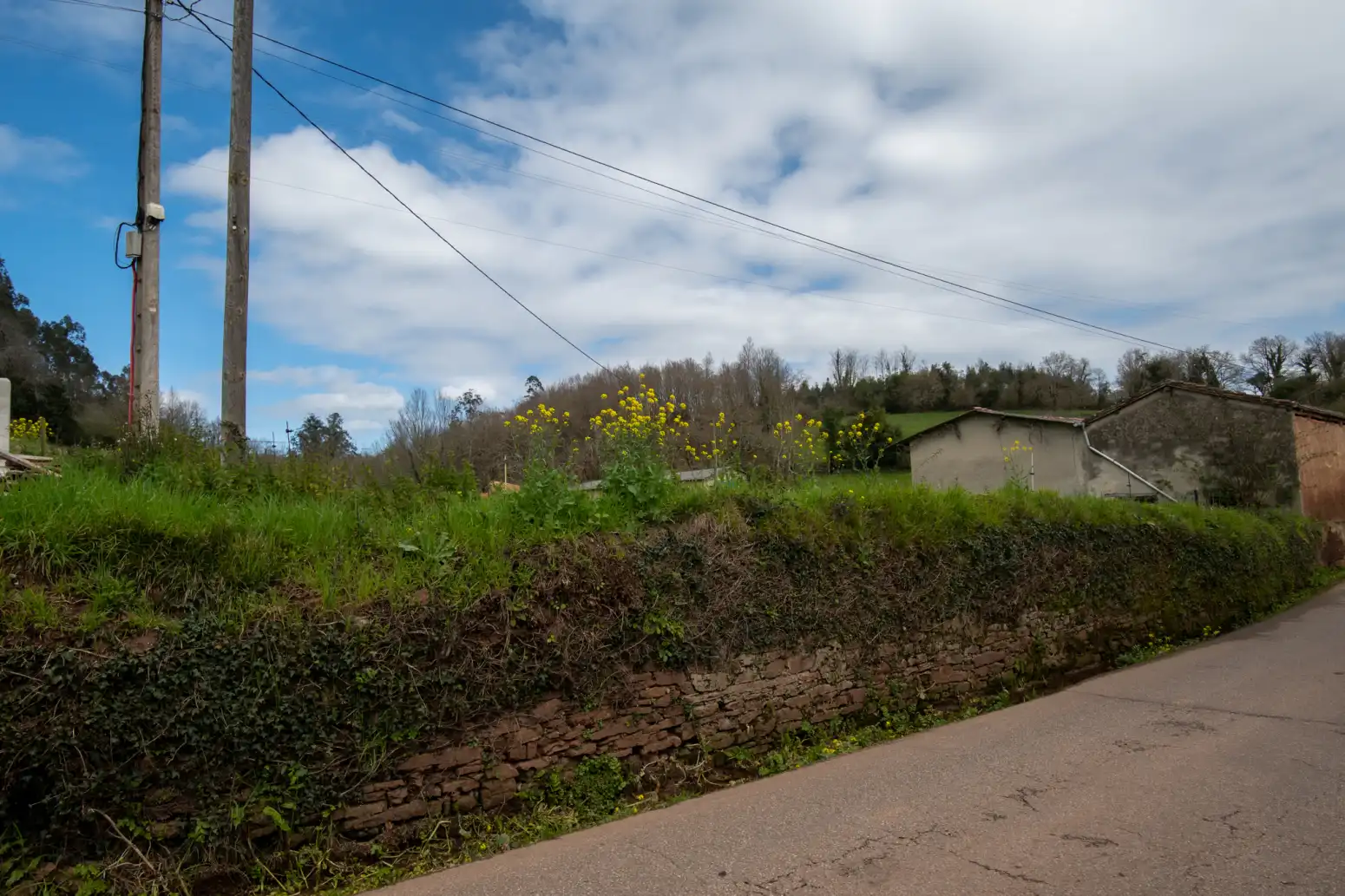Terreno rustico in vendita a Maoxu, imagen 13