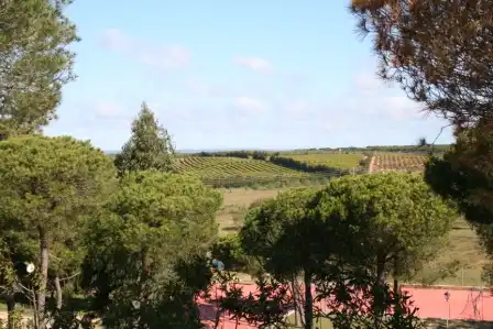 Garden of Residential for sale in El Rompido