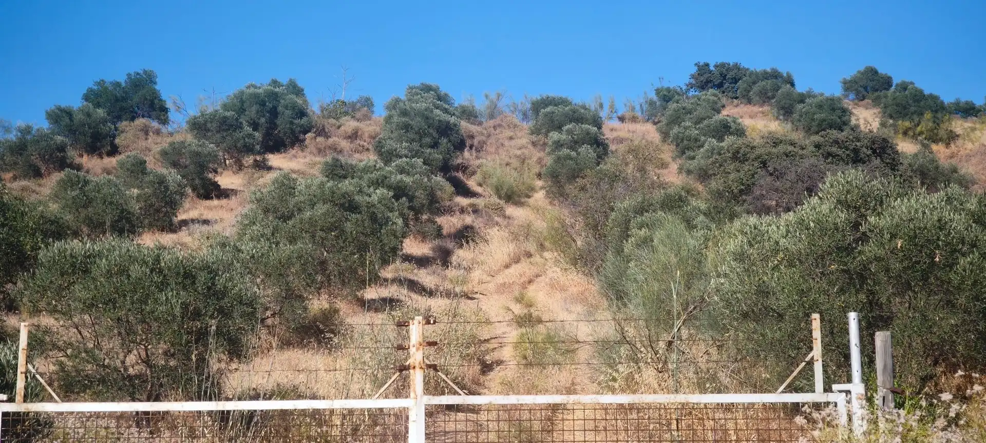Terreni e lotti in vendita a Álora, imagen 10