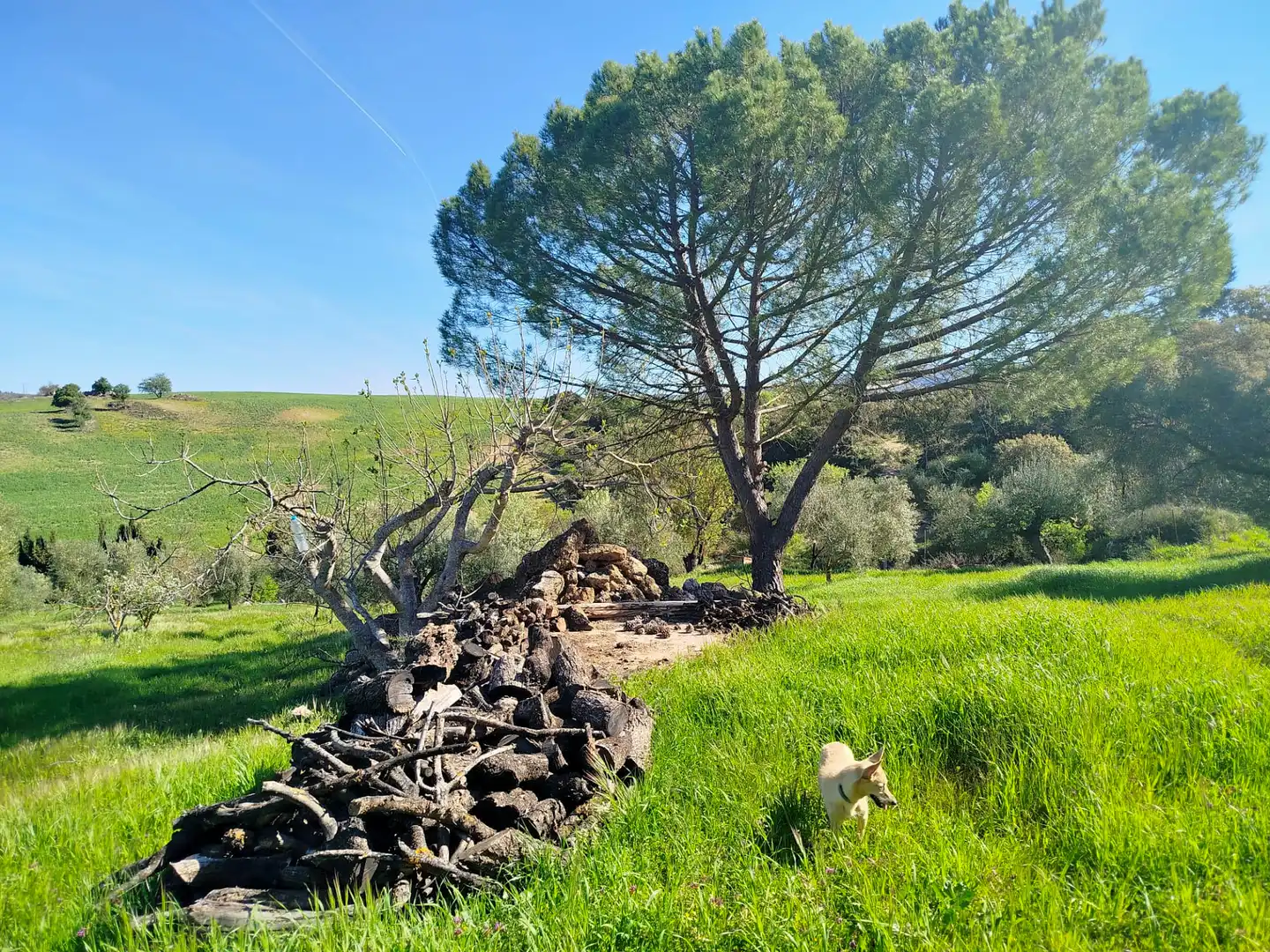 Country house zum Verkauf in Ronda mit Klimaanlage und Terrasse