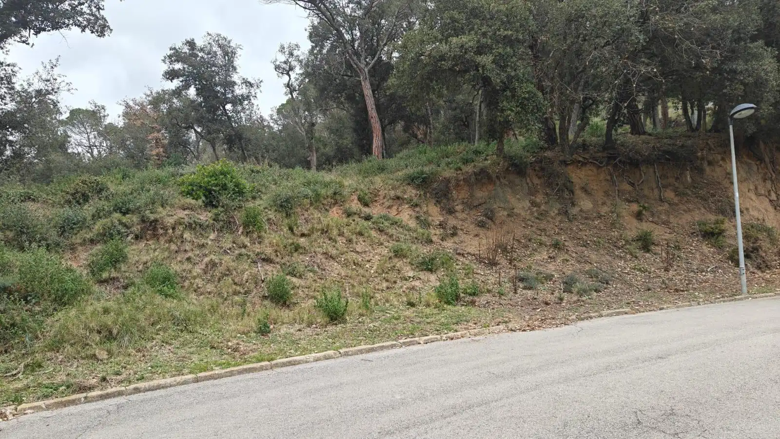 Terrenys i solars en venda a Vallgorguina