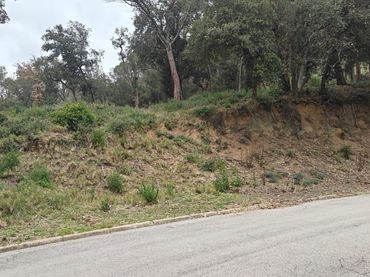 Lands and plots for sale in Vallgorguina