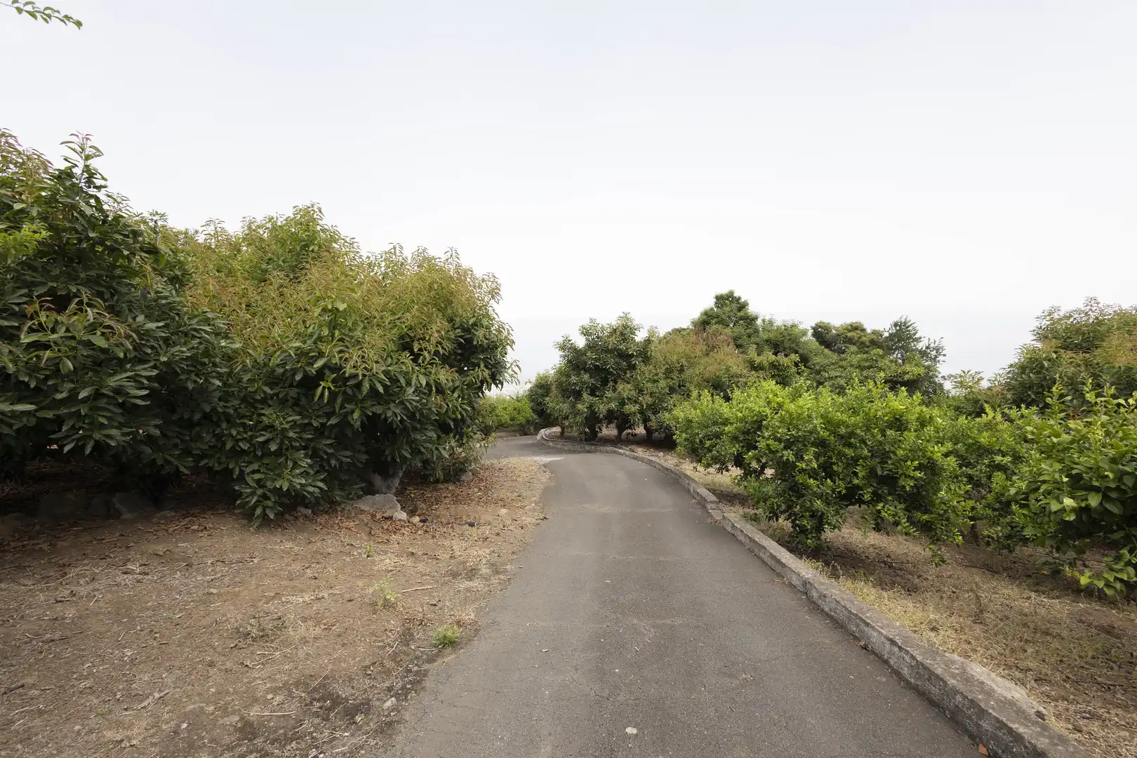 Houses for sale in La Orotava  with Private garden, Terrace and Storage room