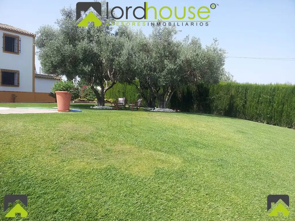 Garden of Houses for sale in Lorca