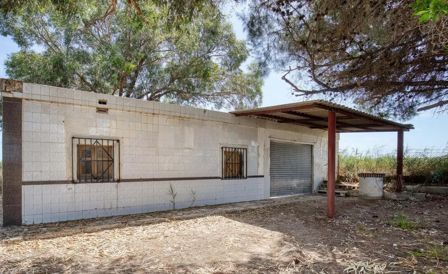 Vista exterior de Finca rústica en venta en Elche / Elx con Jardín privado, Terraza y Trastero