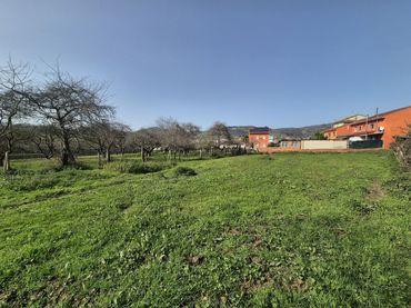 Terrain résidentiel à vendre à Grado