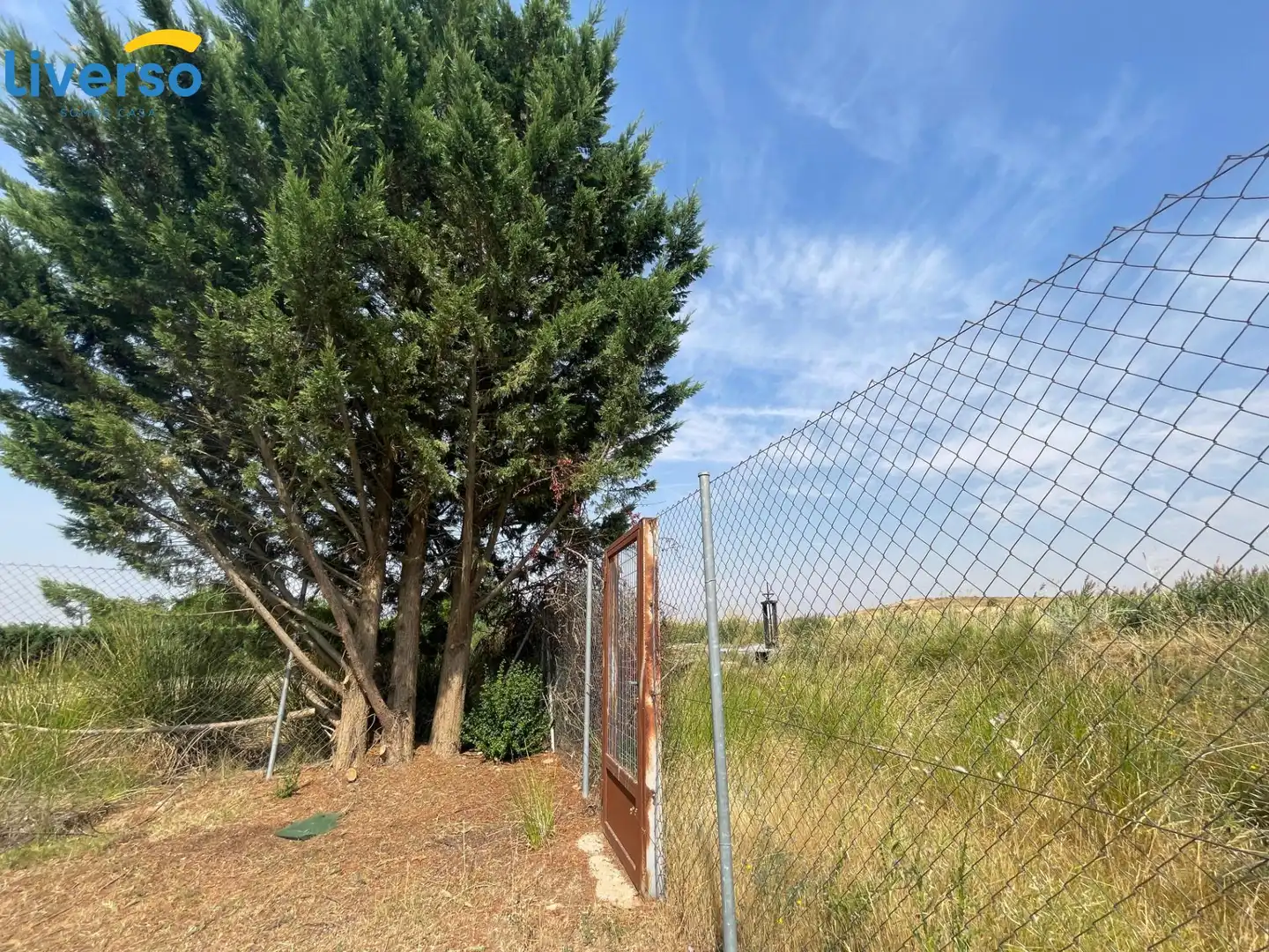 Terreno rústico en venta en Zona Rural, imagen 4