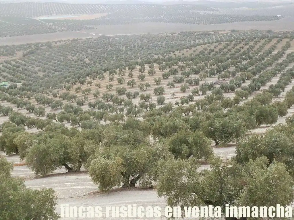 Terreni e lotti in vendita a Andújar, imagen 4