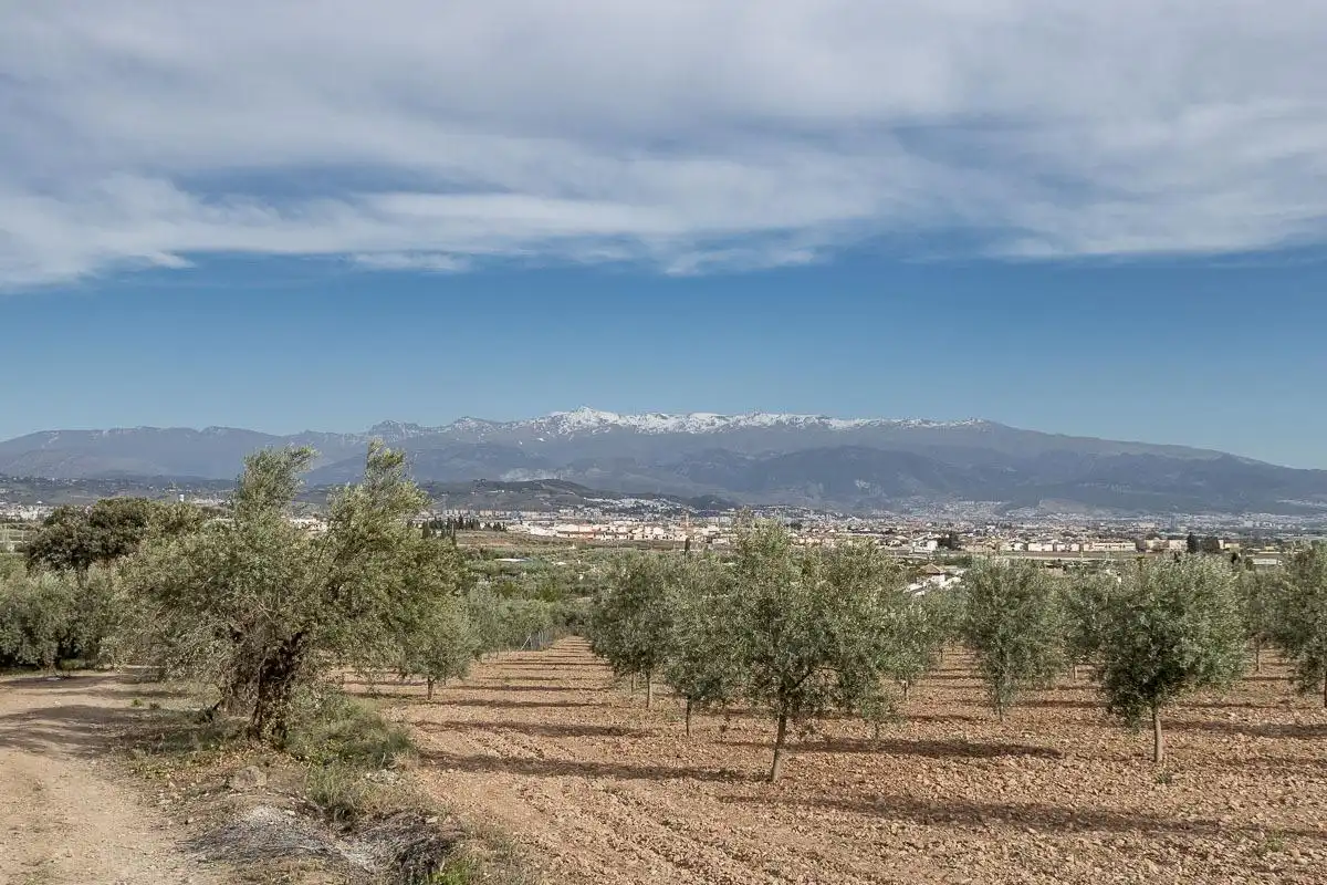 Terrenys i solars en venda a Calle Mirador de la Sierra 6, imagen 12