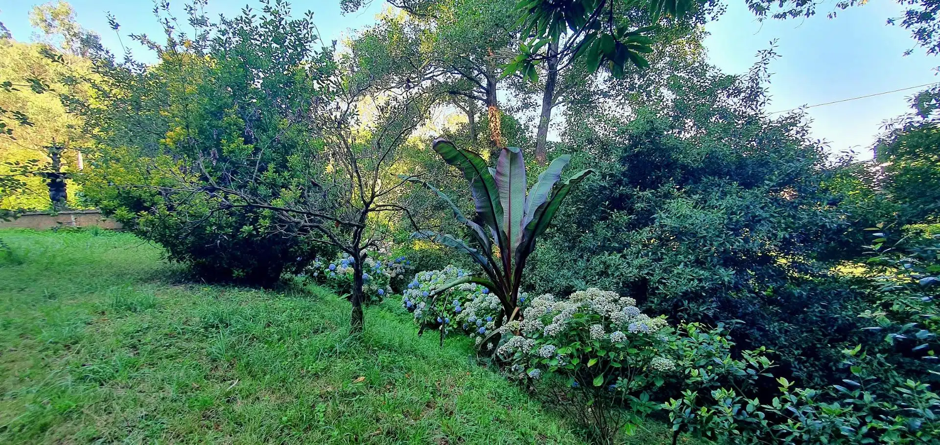 Jardín de Casa o chalet en venta en Castropol con Calefacción, Jardín privado y Terraza