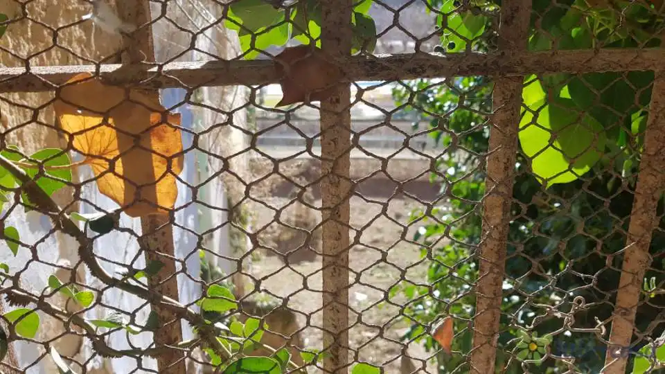 Terreni e lotti in vendita a Paseo de los Fueros de Aragón, imagen 12