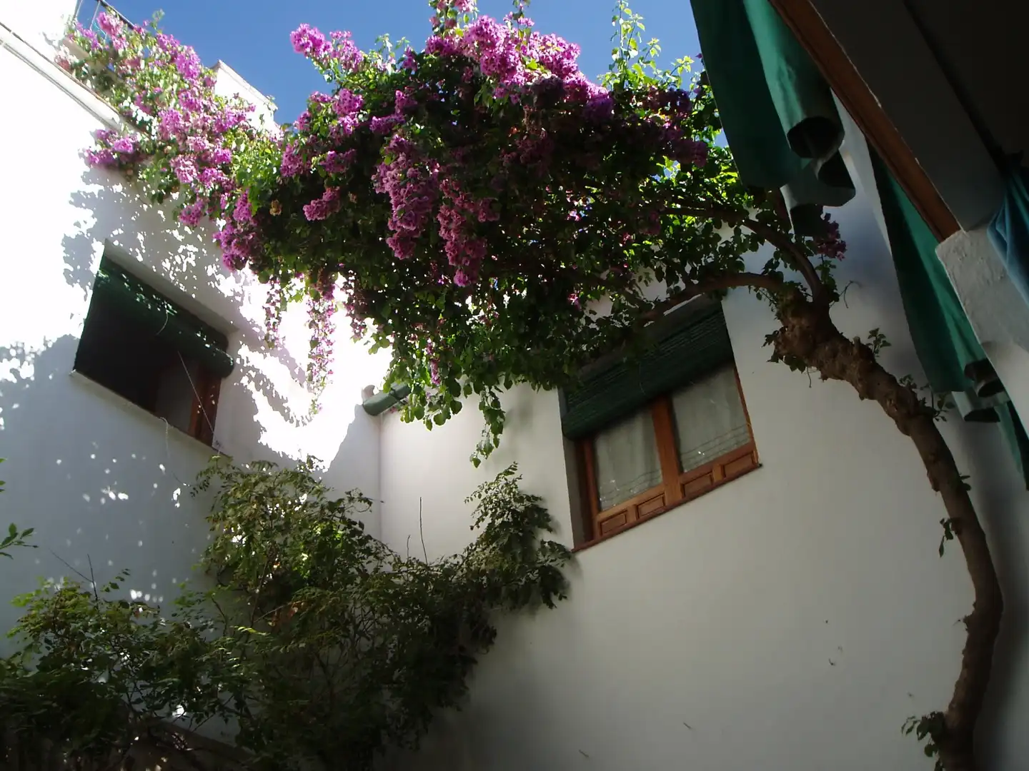 Vista exterior de Casa o chalet en venta en Córdoba