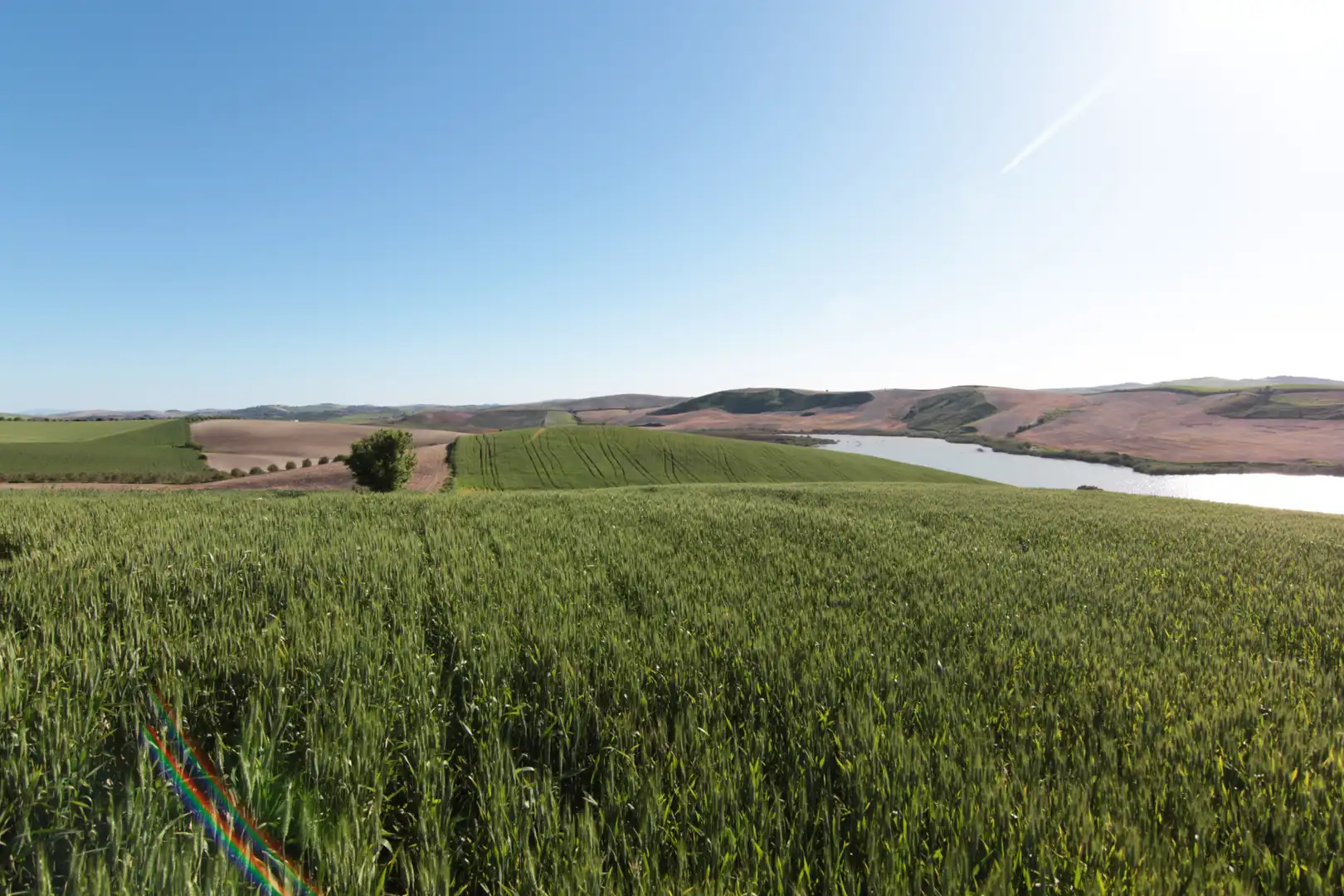 Terreno en venta en Utrera
