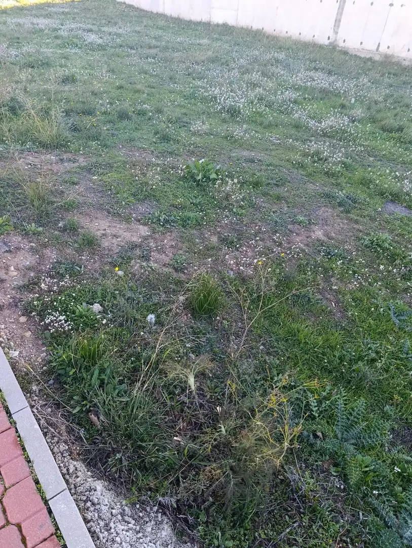 Terreni e lotti in vendita a Bullas, imagen 6