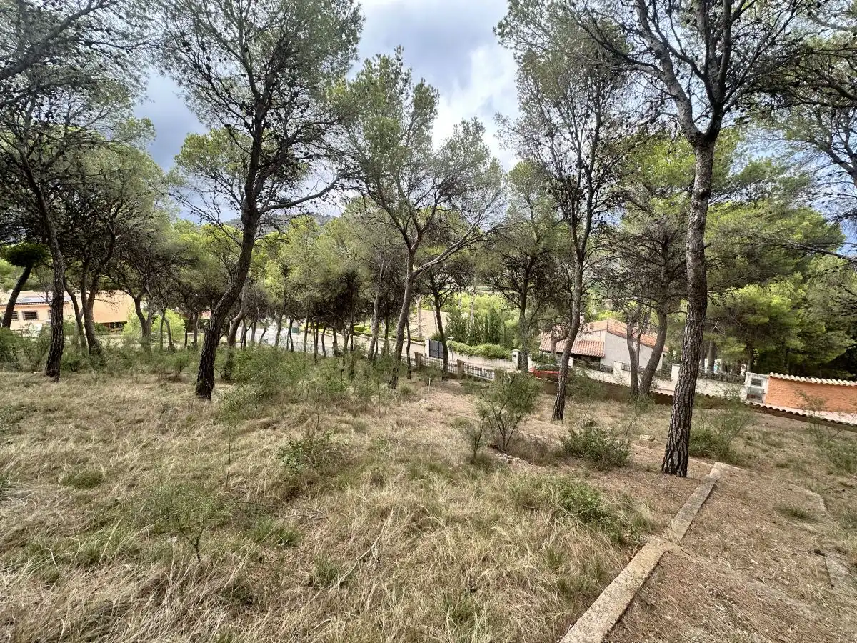 Wohnbaugrundstück zum Verkauf in Torres Torres, imagen 44