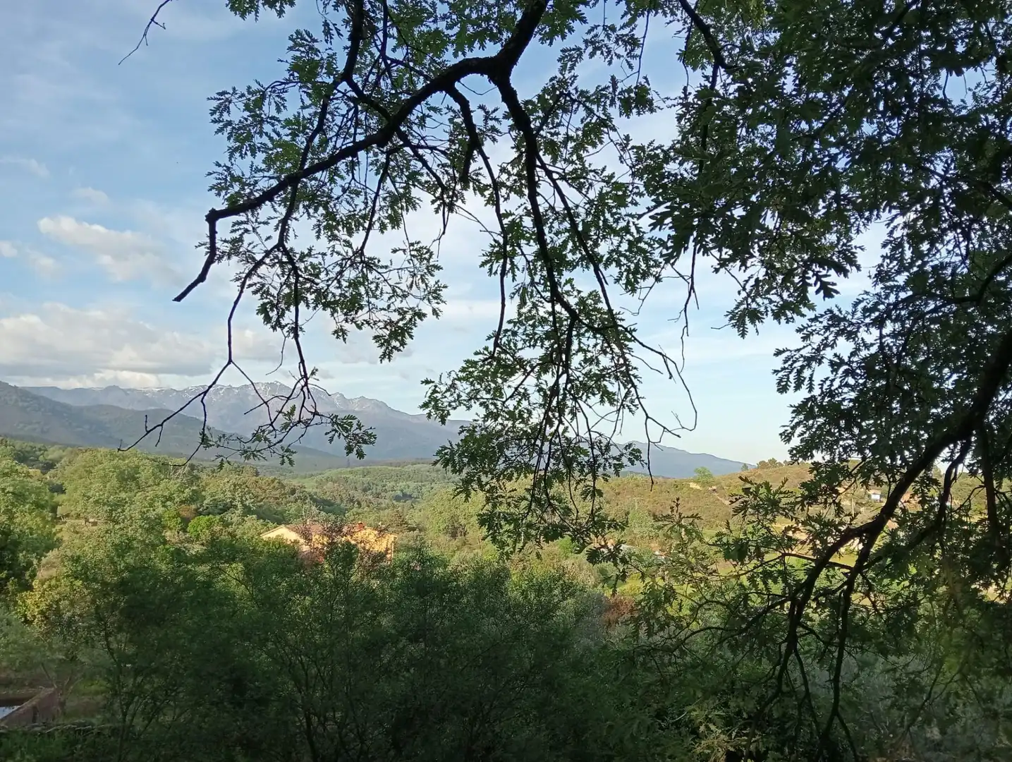 Vista exterior de Terreno en venta en Villanueva de la Vera