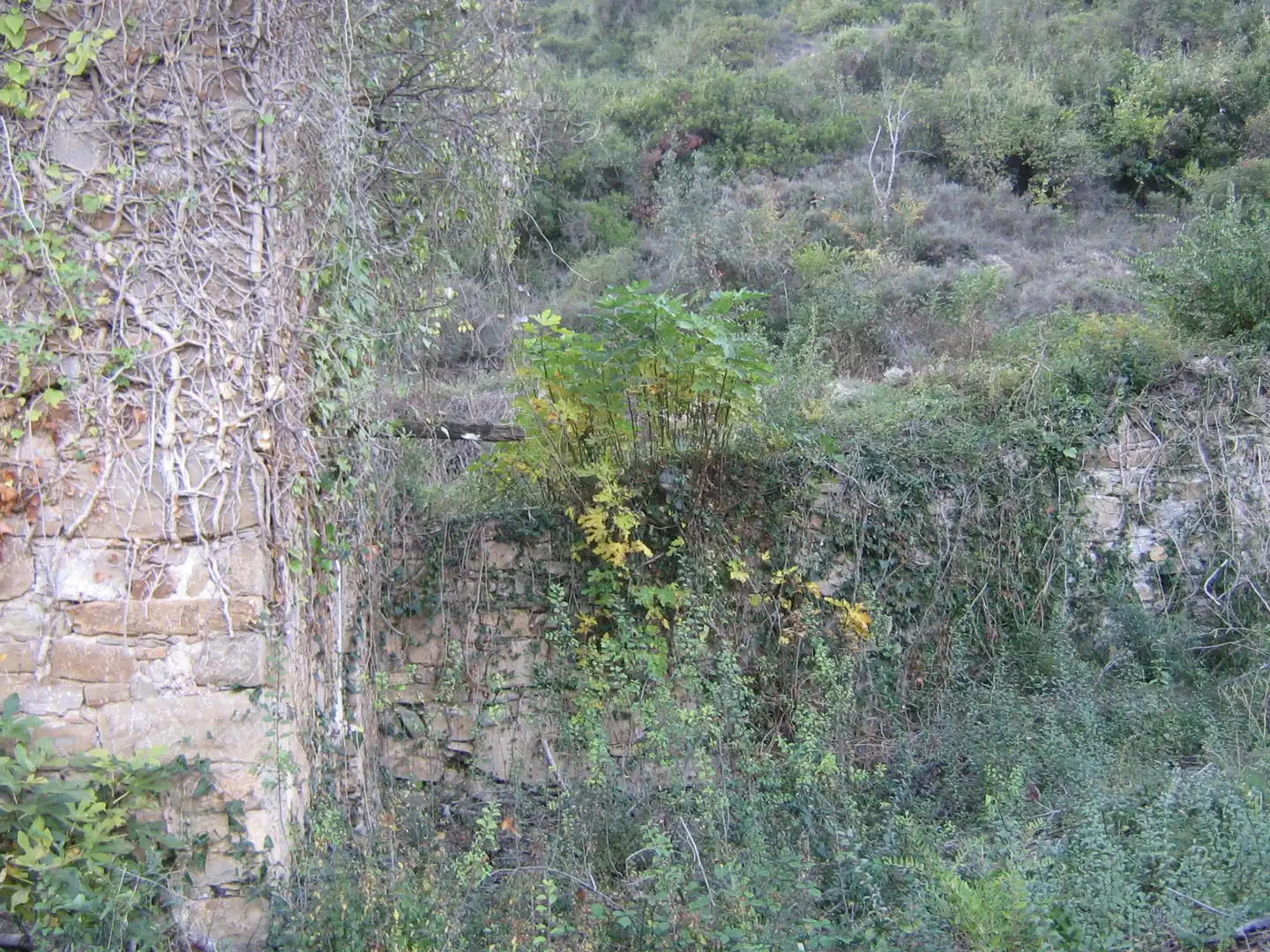 Rural land for sale in Montagut i Oix, imagen 15