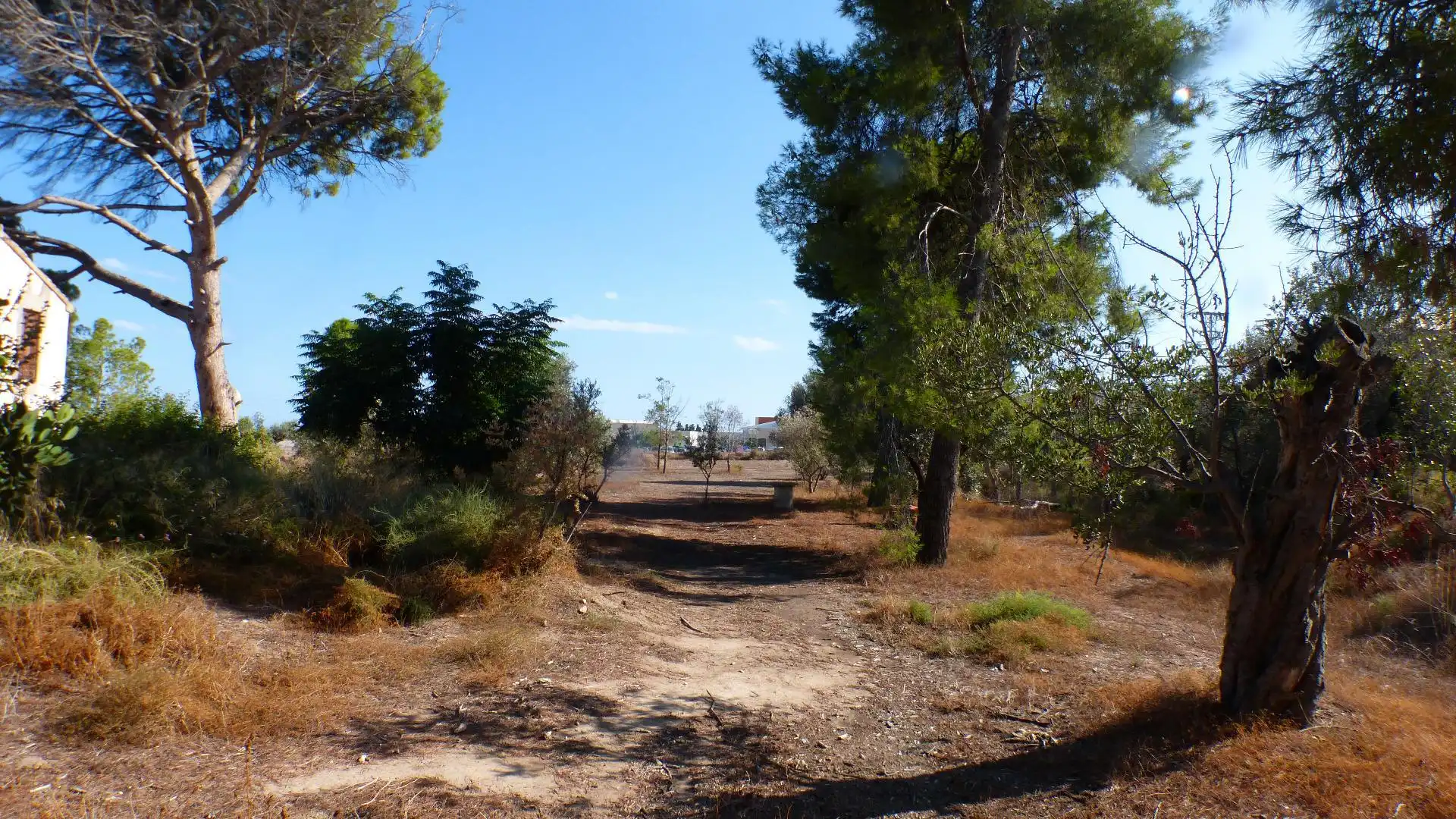 Industrial land for sale in Mutxamel