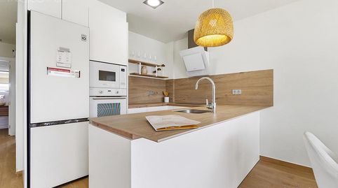 Villas en una sola planta con 4 dormitorios, sótano y piscina privada en Benijófar, imatge 4
