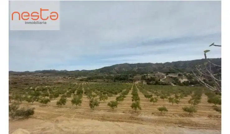 Country homes for sale in Lorca