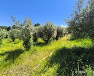 Land for sale in Els Garidells