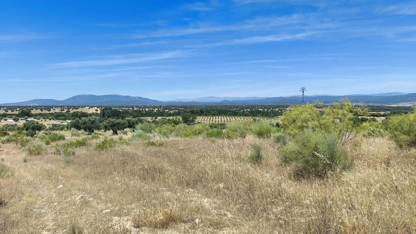 Grundstücke und Bauplätze zum Verkauf in De Los Olivares, imagen 2