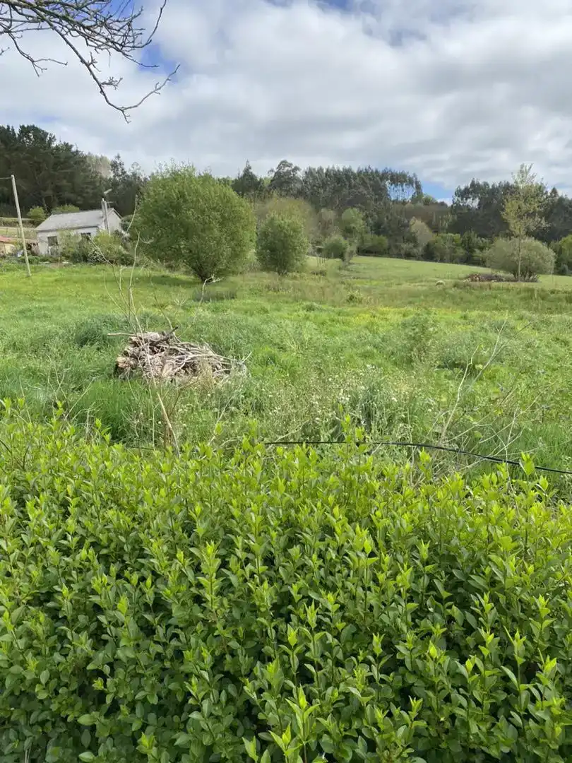 Finca rústica en venda en A Laracha  