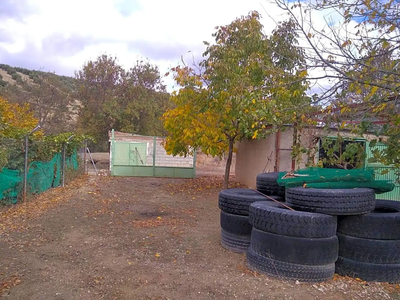 Jardín de Finca rústica en venta en Benalúa de las Villas con Jardín privado, Terraza y Trastero