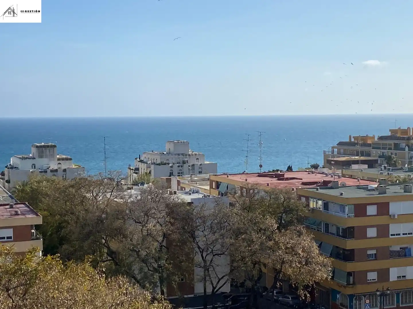 Vista exterior de Piso en venta en Marbella con Terraza