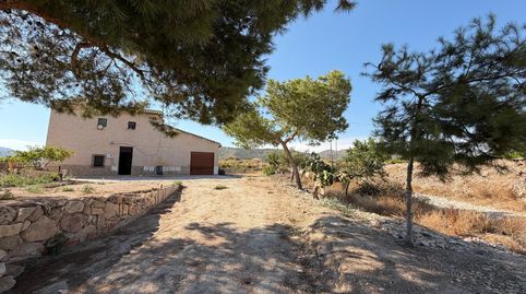 Foto 3 de Finca rústica en venda a La Romana, Alicante